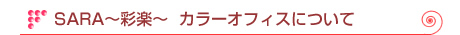 SARA`ʊy`J[ItBXɂ
